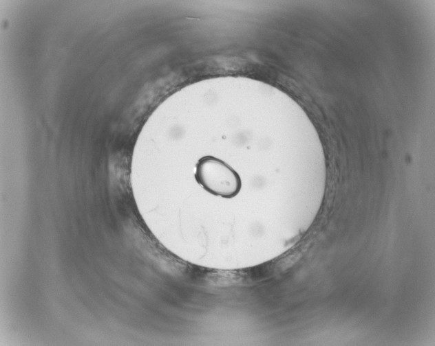 X0000055510672200508262142