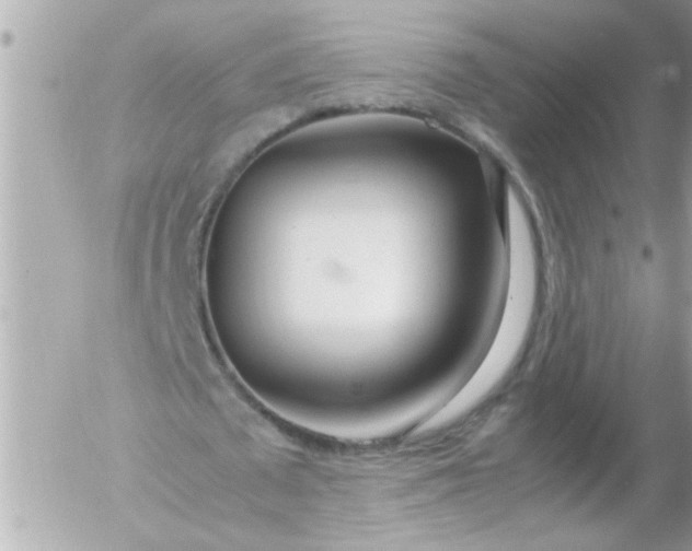 X0000055510673200508262141