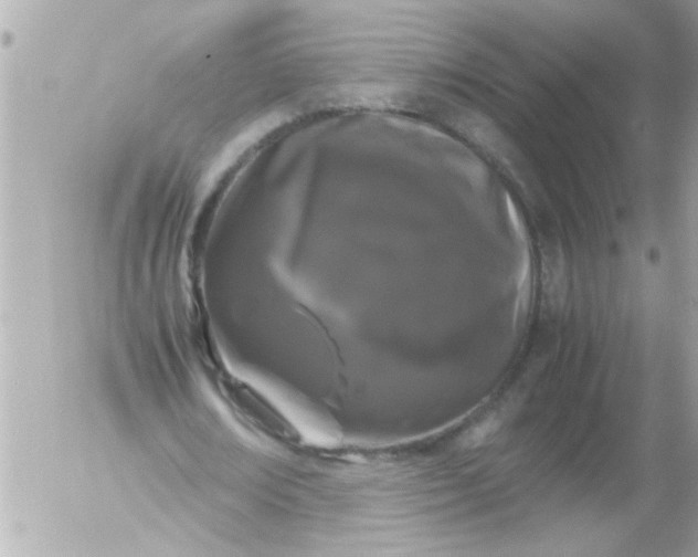 X0000055510674200508262141