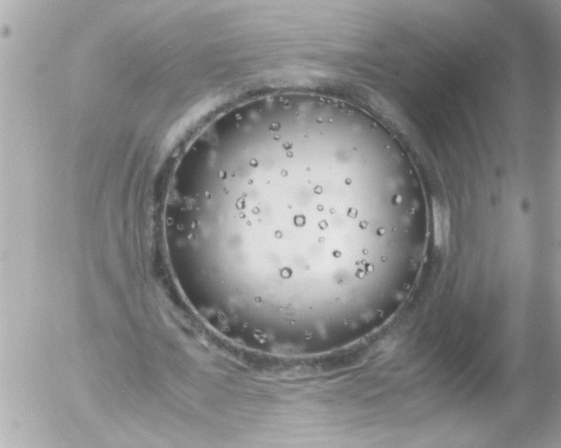 X0000055510675200508262141