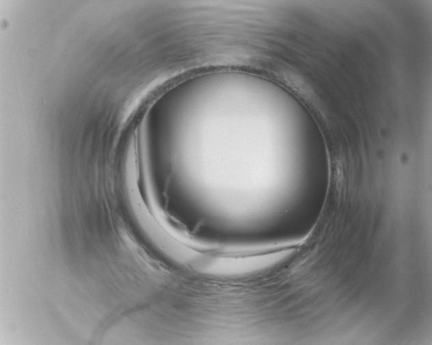 X0000055510676200508262141