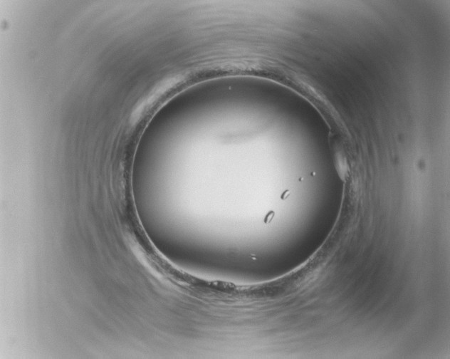 X0000055510677200508262141