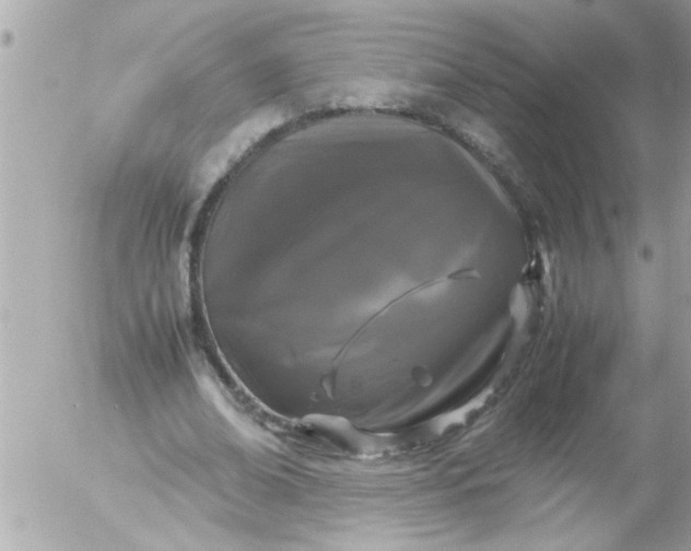 X0000055510678200508262141