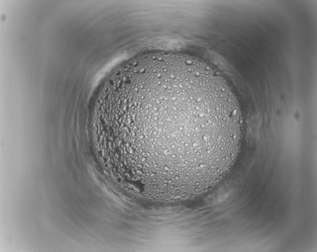 X0000055510679200508262141