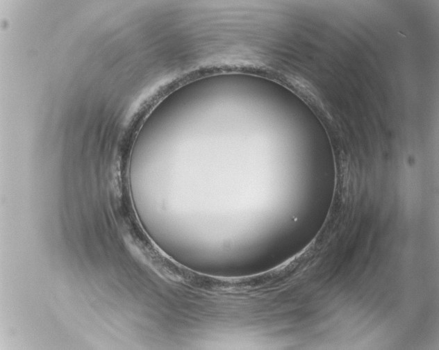 X0000055510680200508262141