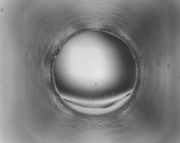 X0000055510681200508262141