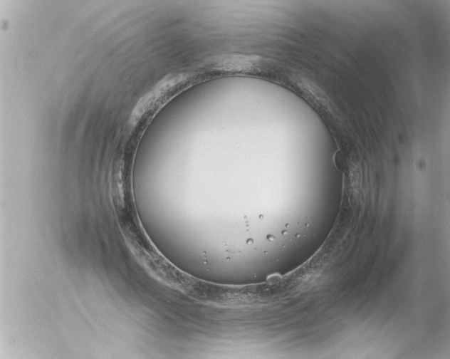 X0000055510682200508262141