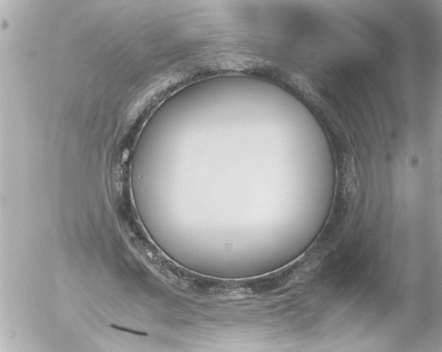 X0000055510683200508262141