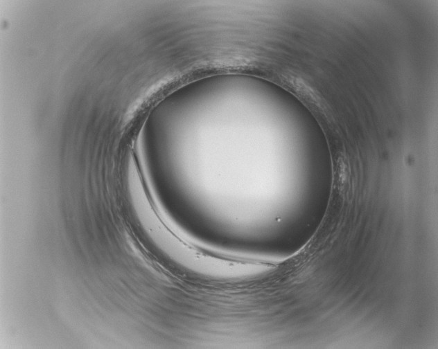 X0000055510684200508262141