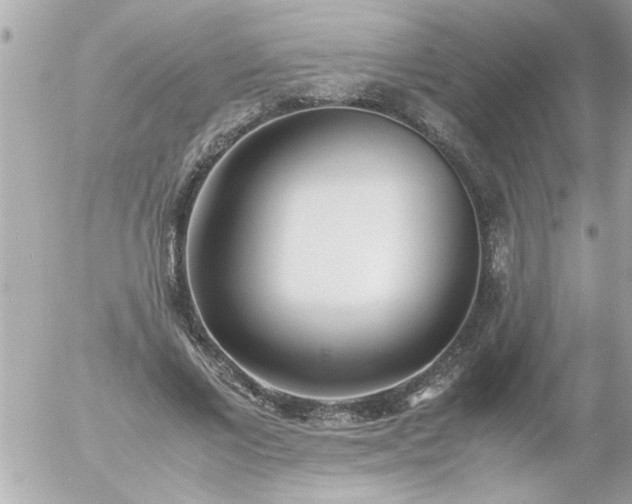 X0000055510685200508262141