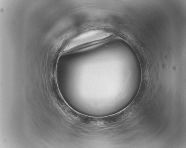 X0000055510687200508262141