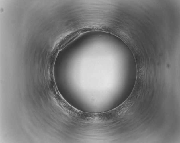 X0000055510688200508262141