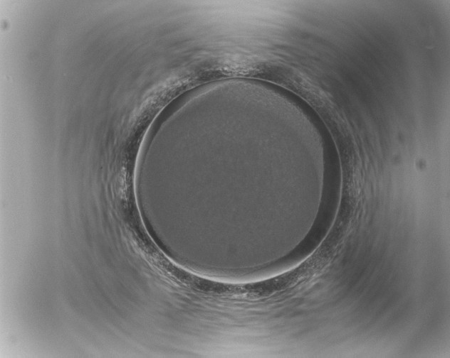 X0000055510689200508262141