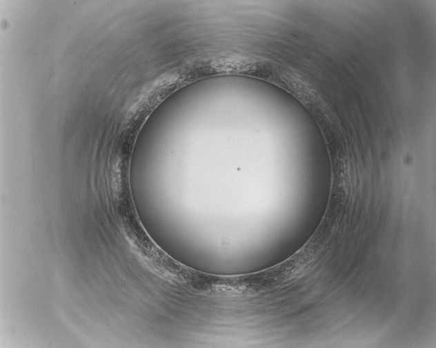 X0000055510690200508262141