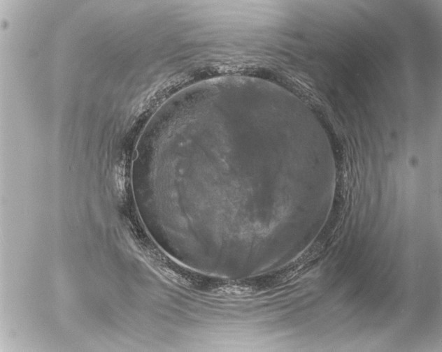 X0000055510691200508262141