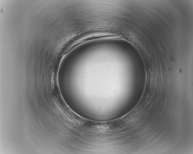 X0000055510692200508262141