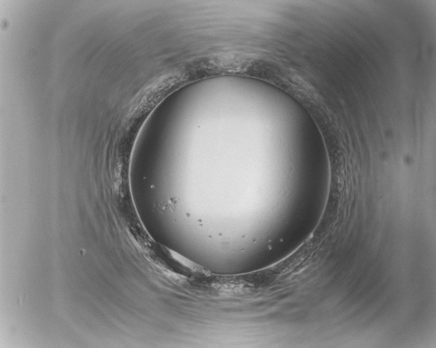 X0000055510693200508262141