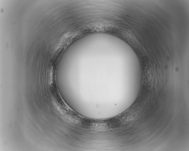 X0000055510694200508262141