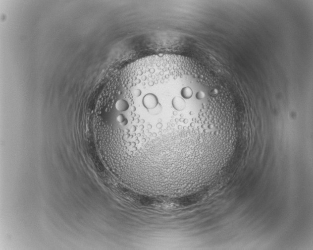 X0000055510695200508262141