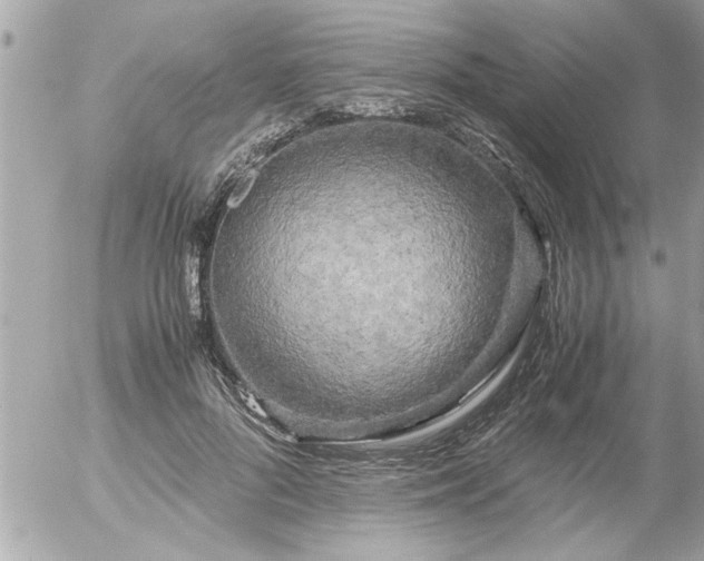 X0000055510696200508262140