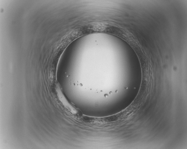 X0000055510697200508262140