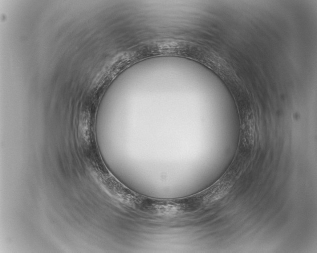 X0000055510698200508262140