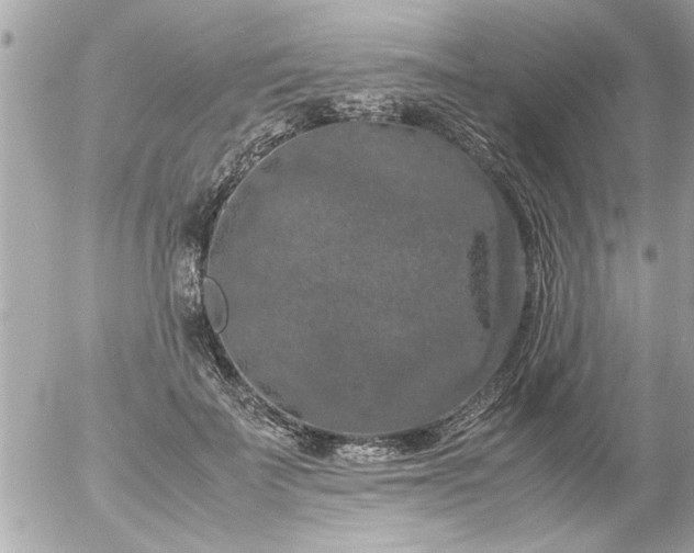 X0000055510699200508262140