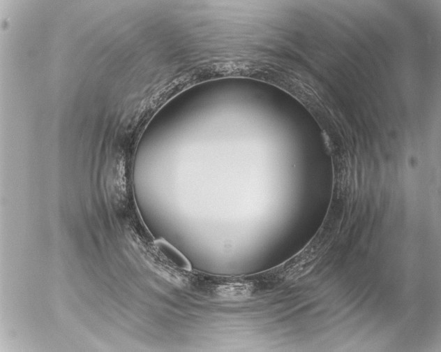 X0000055510700200508262140