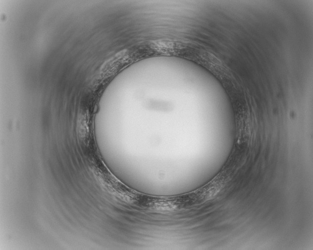 X0000055510702200508262140