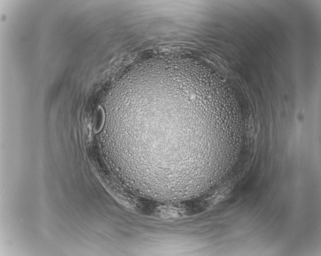 X0000055510703200508262140