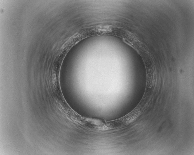 X0000055510704200508262140