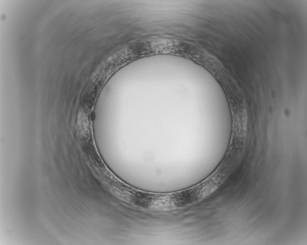 X0000055510705200508262140