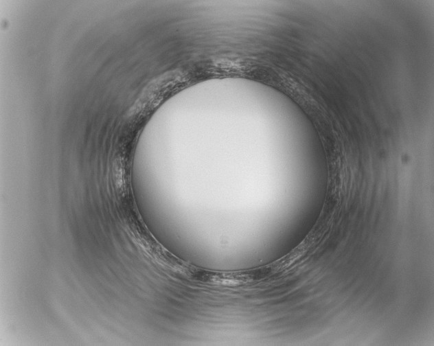 X0000055510706200508262140