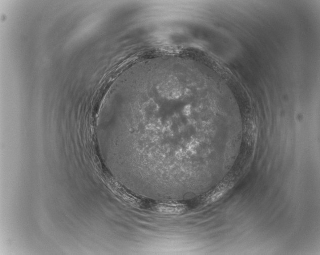 X0000055510707200508262140