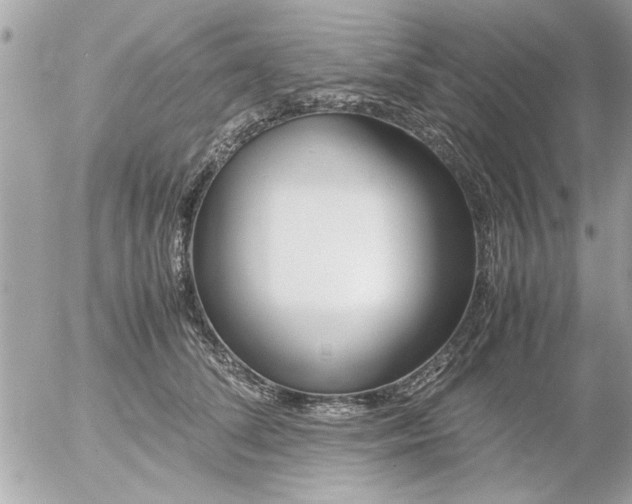 X0000055510708200508262140