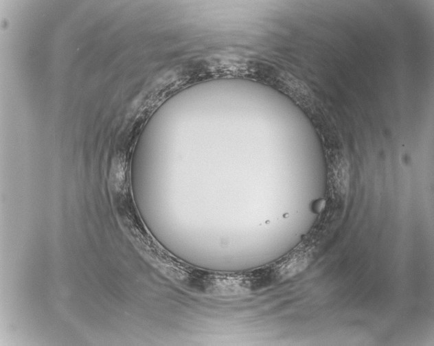 X0000055510709200508262140