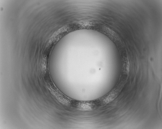 X0000055510710200508262140