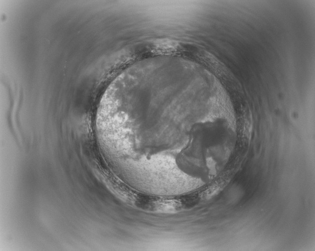 X0000055510711200508262140