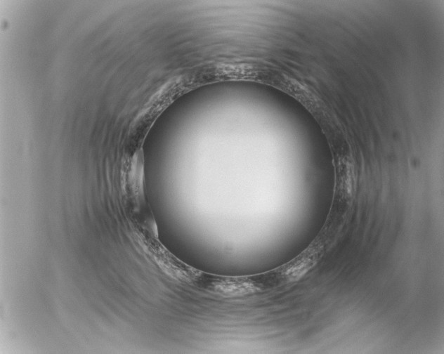 X0000055510712200508262140