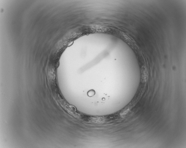 X0000055510713200508262140