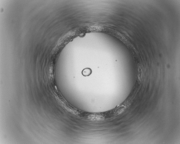 X0000055510714200508262140