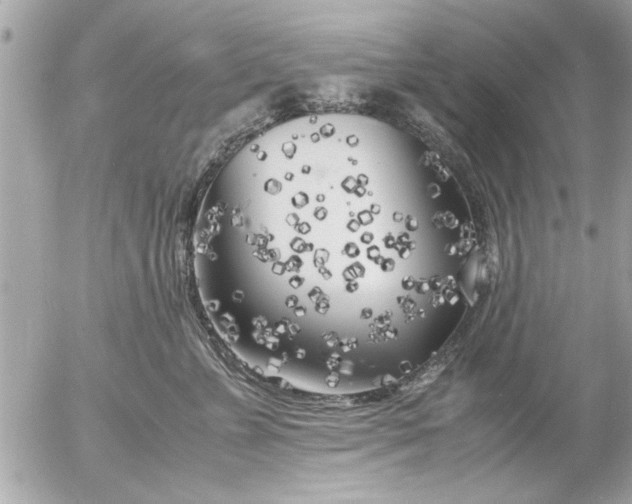 X0000055510715200508262140