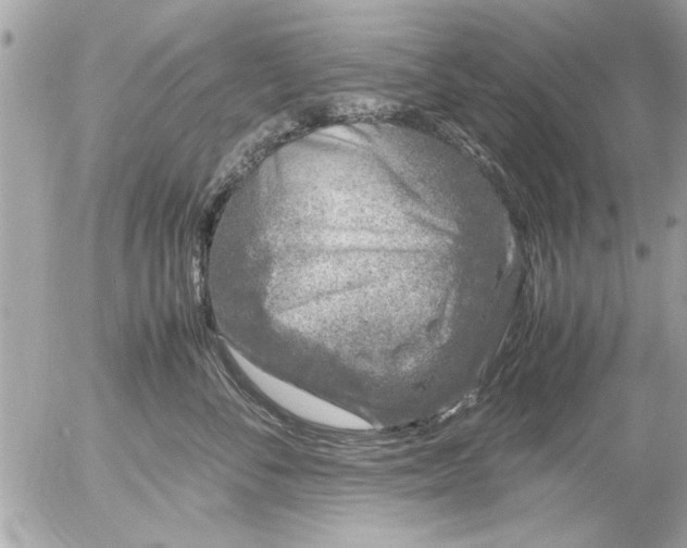 X0000055510716200508262140