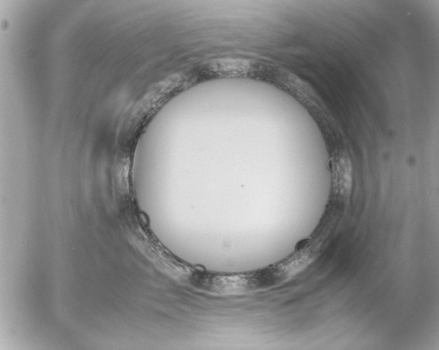 X0000055510717200508262140