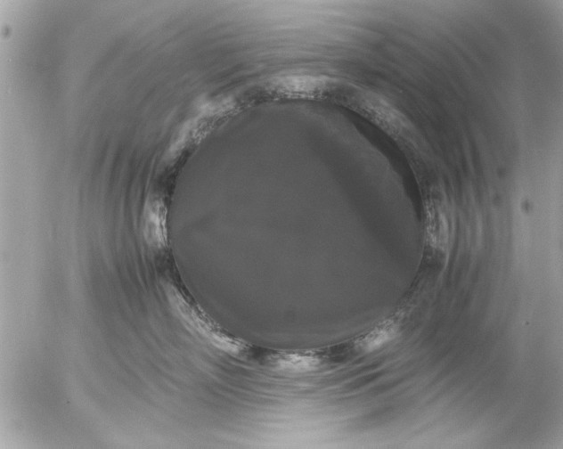 X0000055510718200508262140