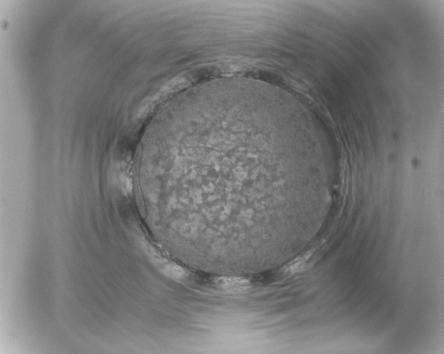 X0000055510719200508262140