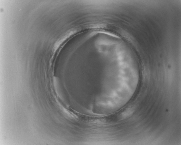 X0000055510721200508262139