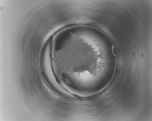 X0000055510722200508262139