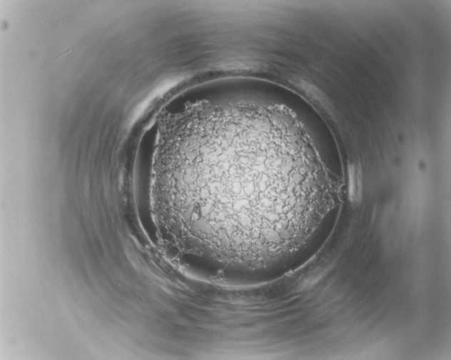 X0000055510723200508262139