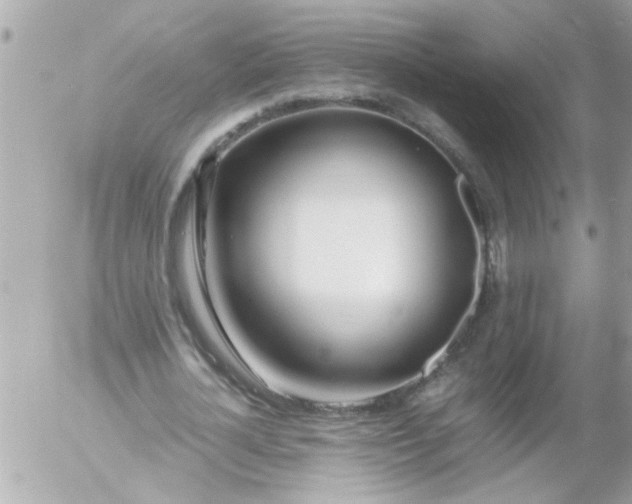 X0000055510724200508262139